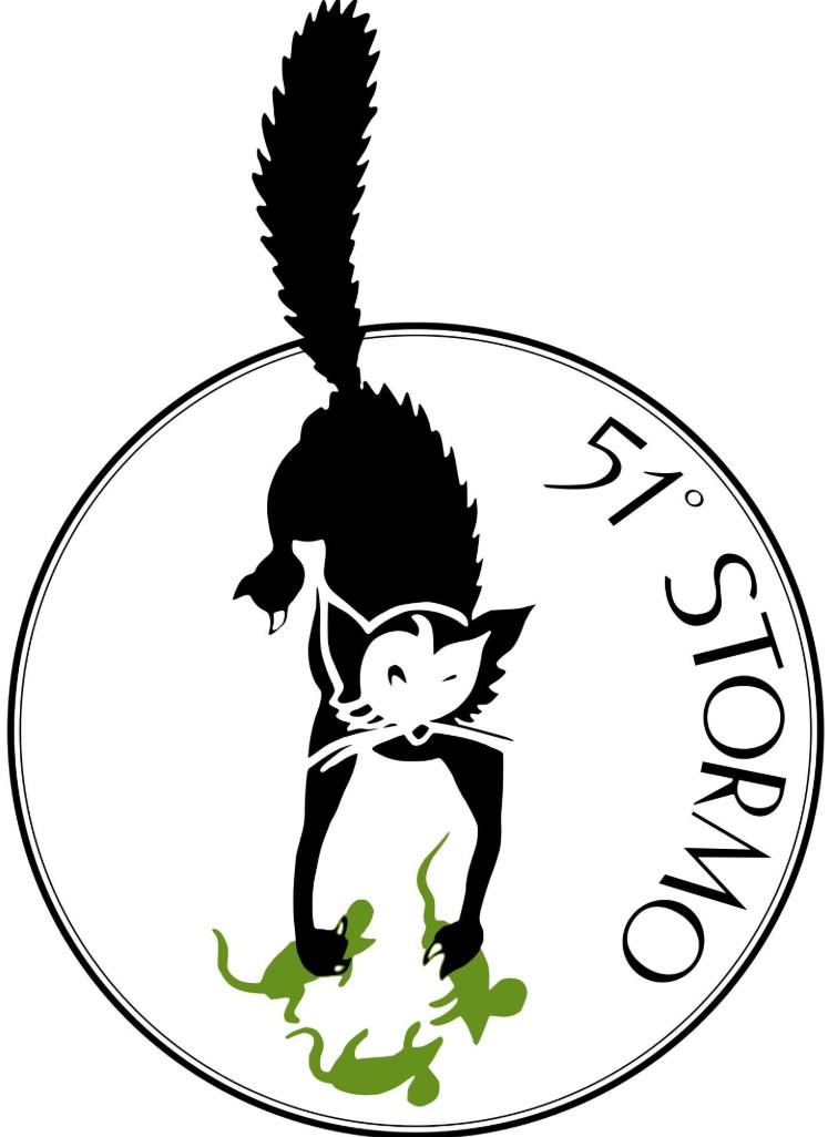 51° Stormo Aeronautica Militare